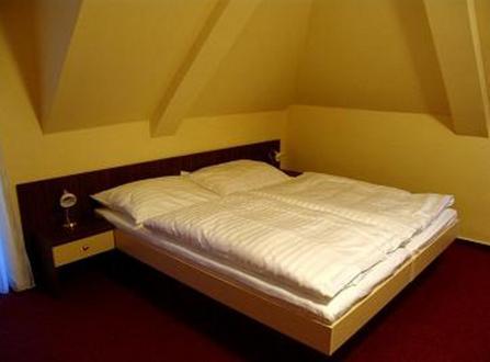 Hotel Altenberg Stare Hory Phòng bức ảnh